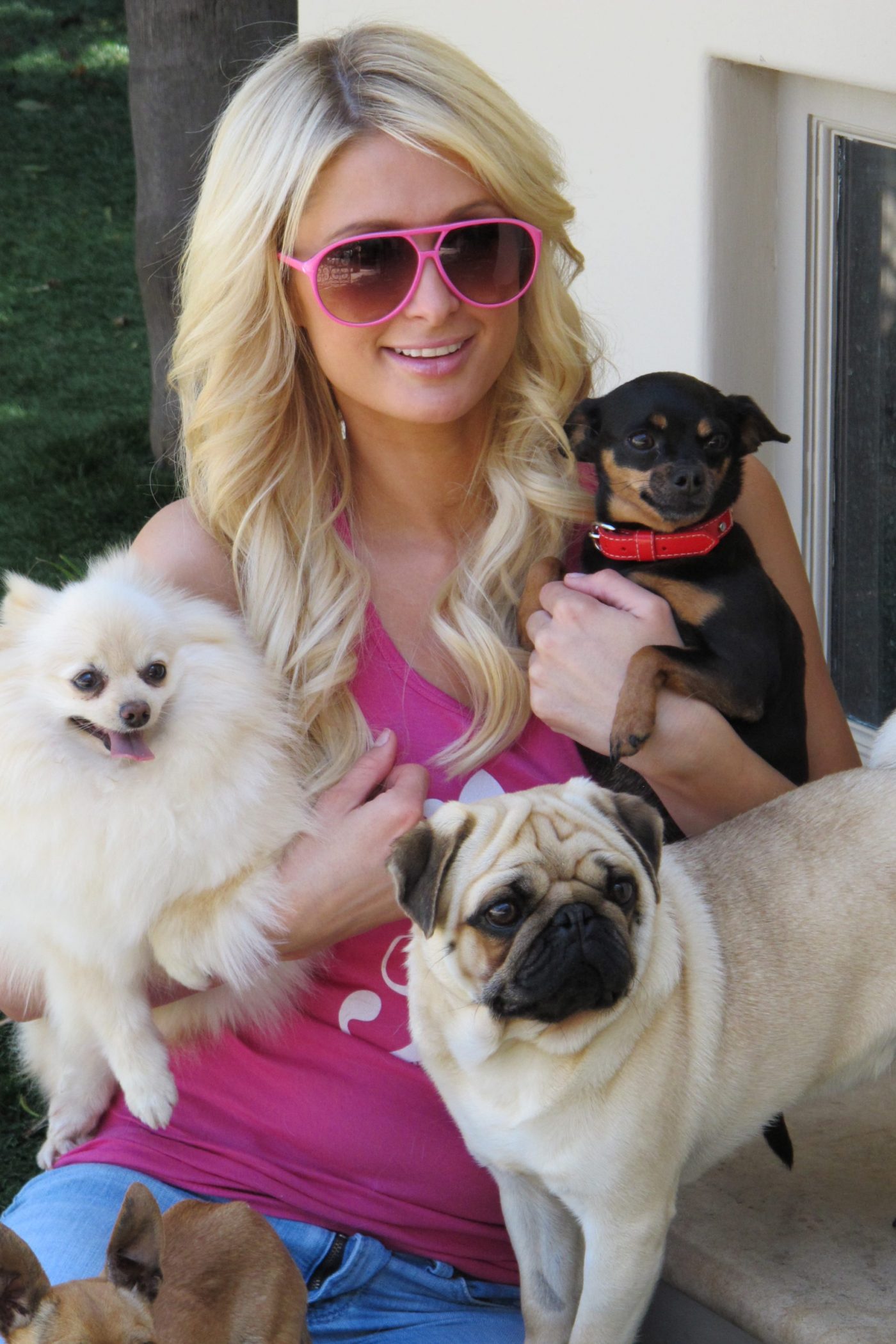Meet The Hilton Pets Paris Hilton