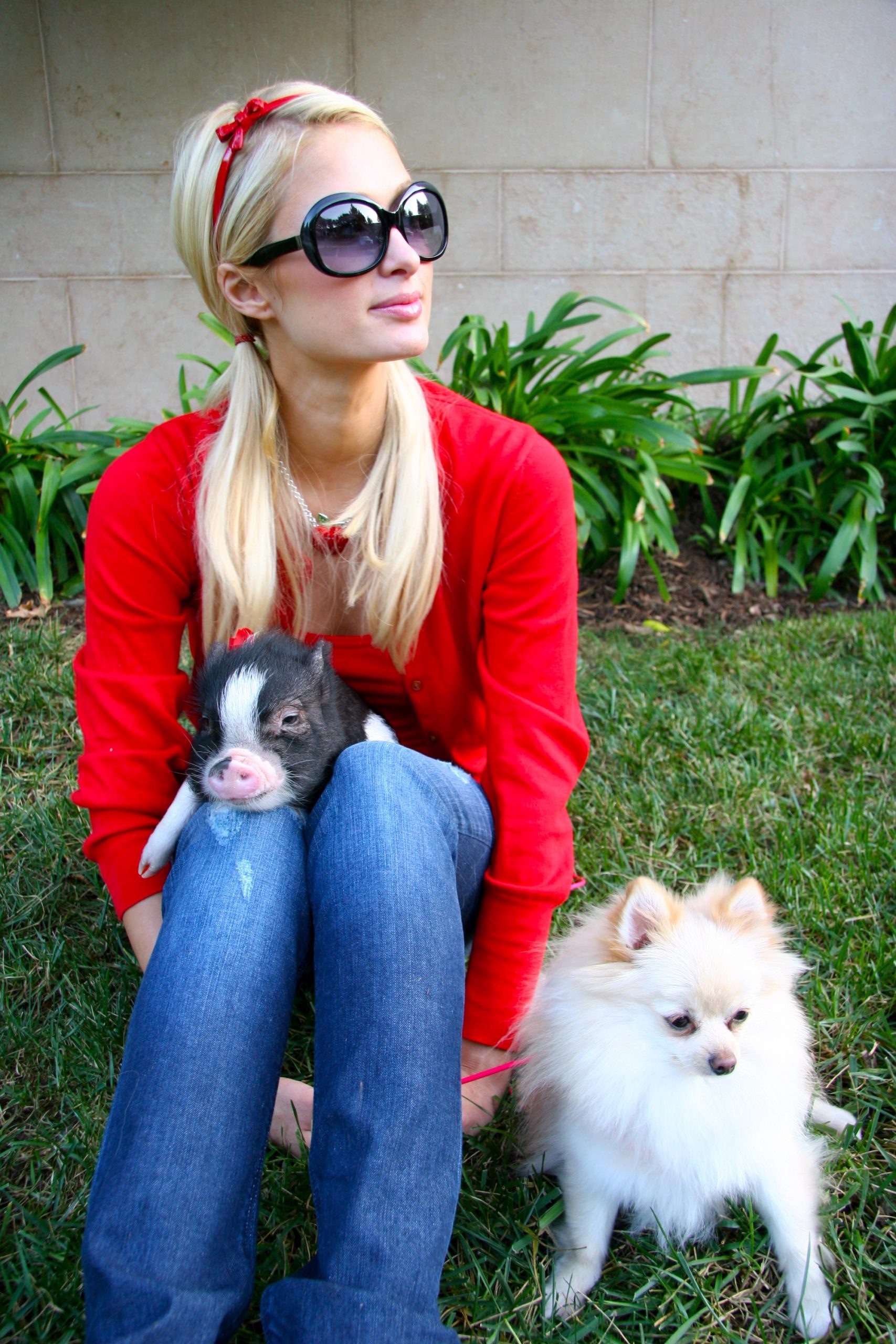Meet the Hilton Pets Paris Hilton